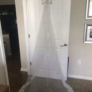 White Cathedral-Length Lace-Trimmed Veil